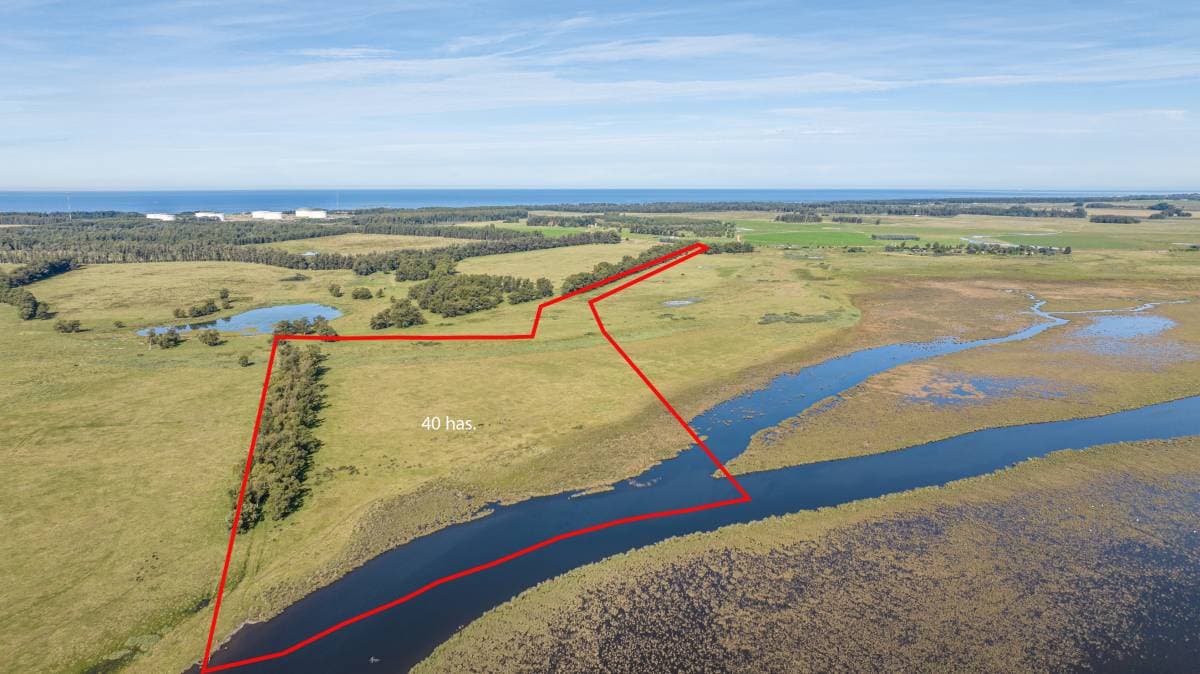 Chacra en venta de 39 Has. sobre arroyo José Ignacio (Imagen número 1)