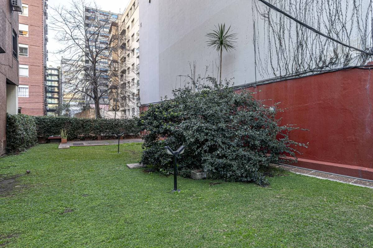 Imagen número 14