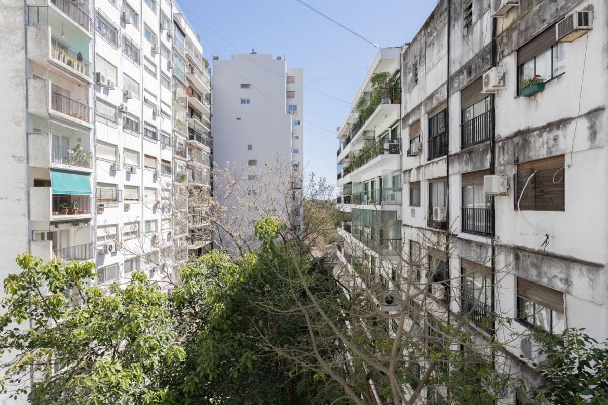 Imagen número 15