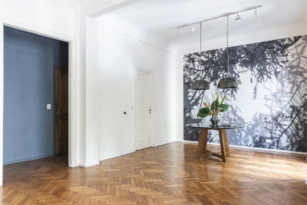 Arenales y Junín (Imagen número 1)