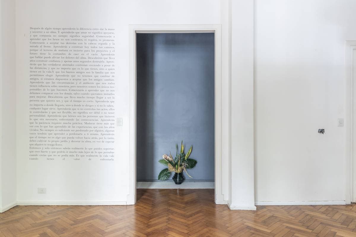 Arenales y Junín (Imagen número 3)