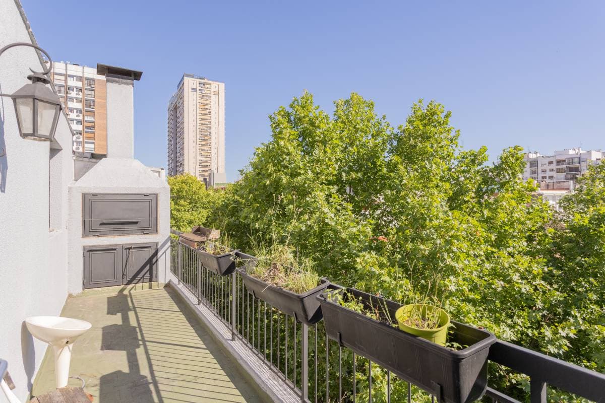 Beruti y Salguero (Imagen número 2)