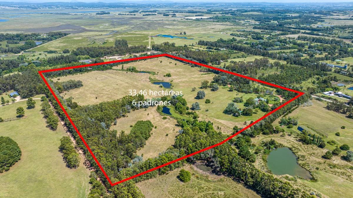 Chacra en venta de 34 ha. en La Barra con casa de 1200 m2 (Imagen número 3)