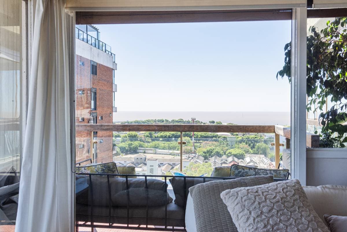 Gelly y Cavia (Imagen número 3)