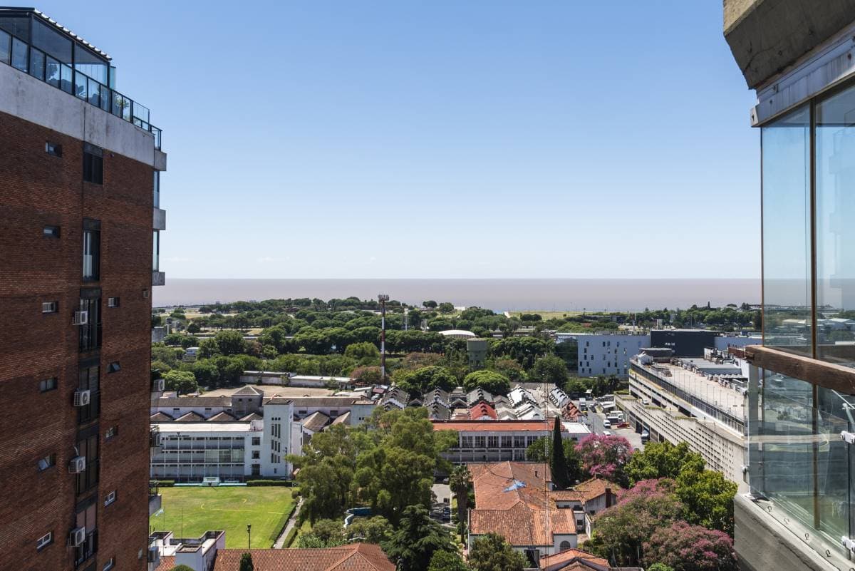 Gelly y Cavia (Imagen número 1)