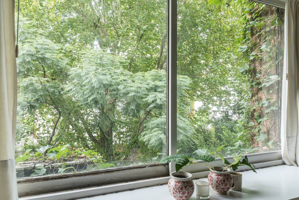 Juncal y Libertad (Imagen número 2)