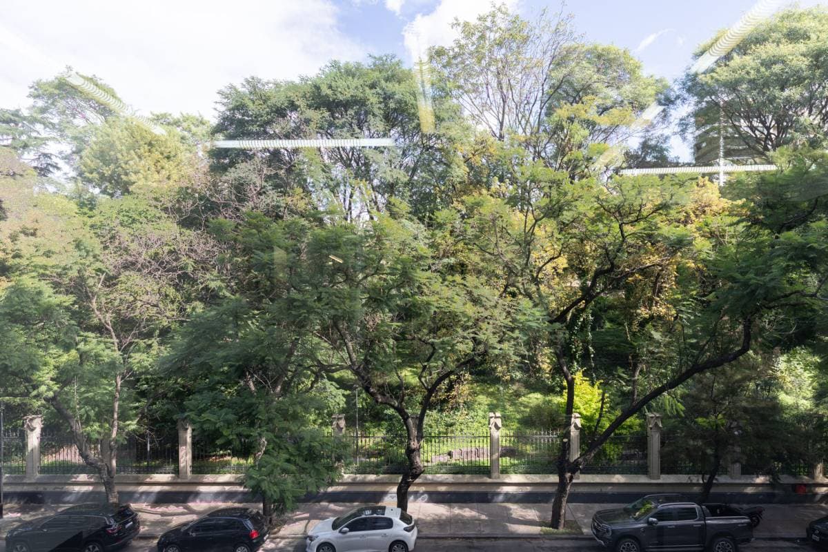 Imagen número 23