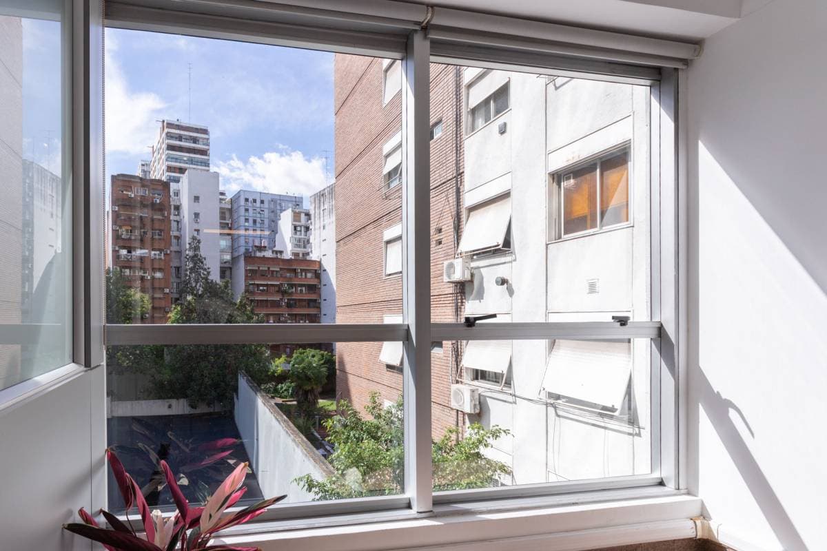 Imagen número 12
