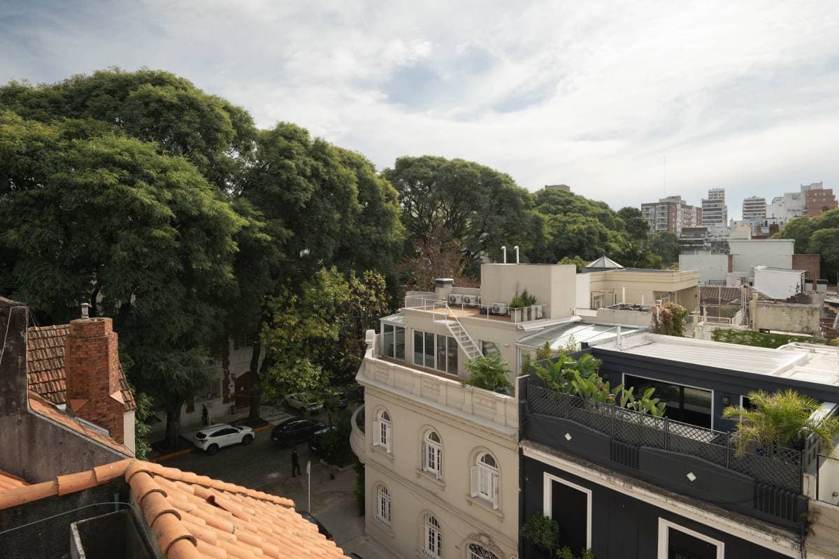 Imagen número 13