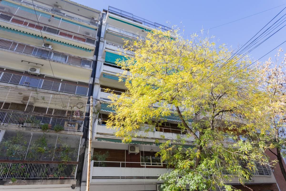 Imagen número 19