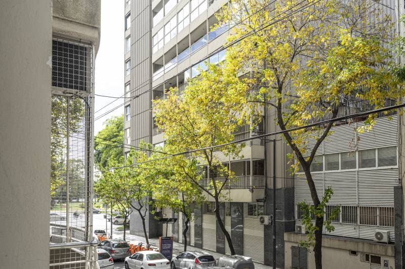 Imagen número 21
