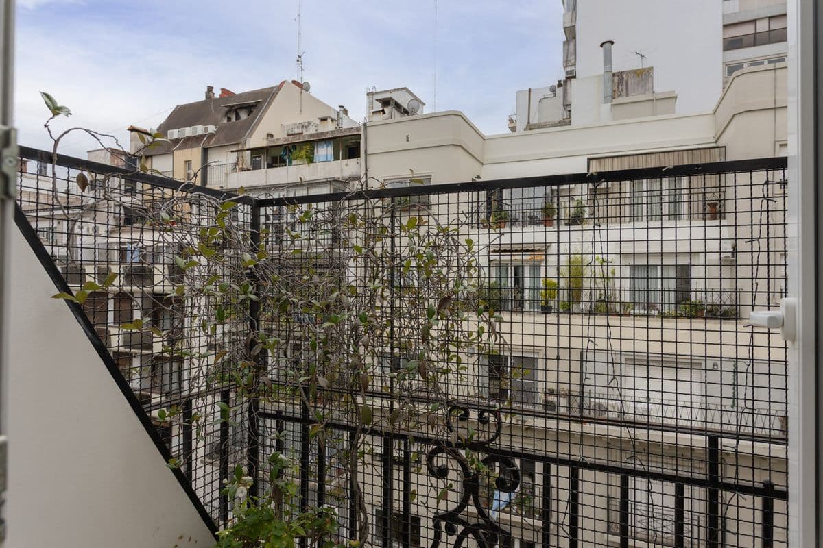 Imagen número 8