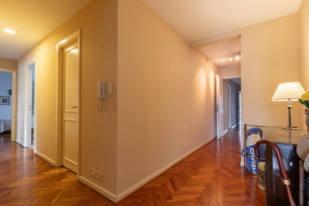 Imagen número 15