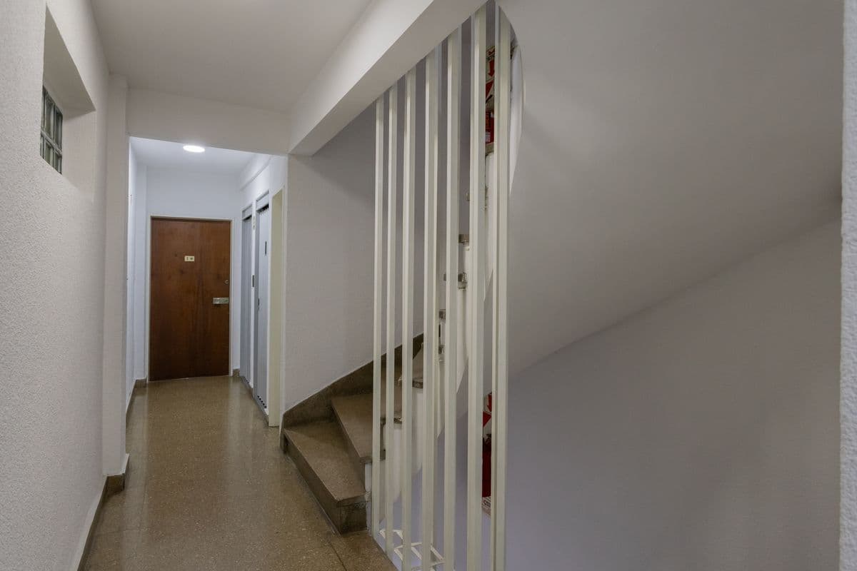 Imagen número 24