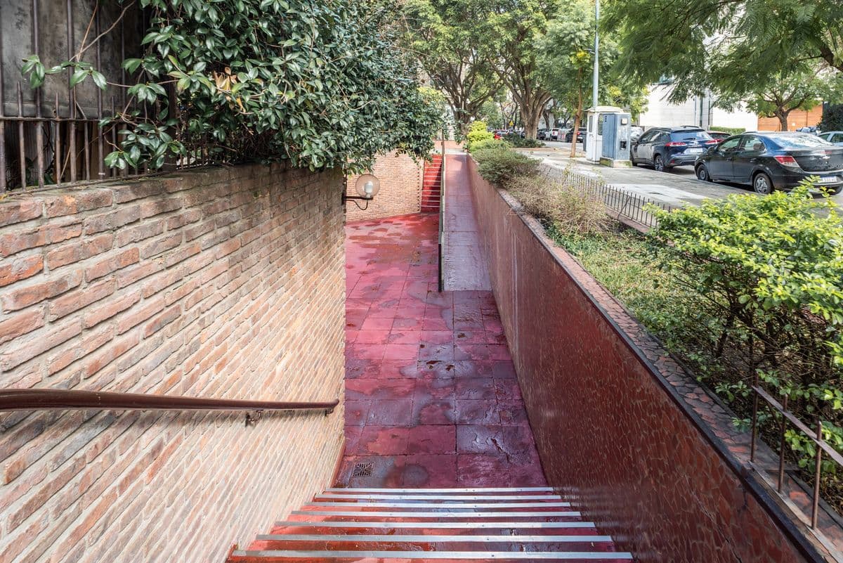 Imagen número 38