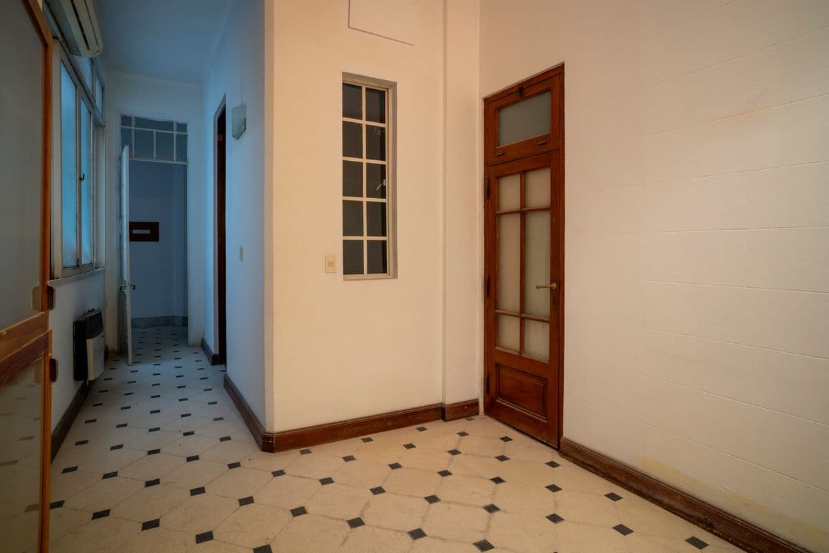Imagen número 12