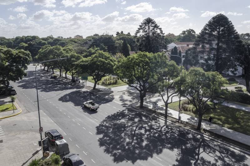 Imagen número 1