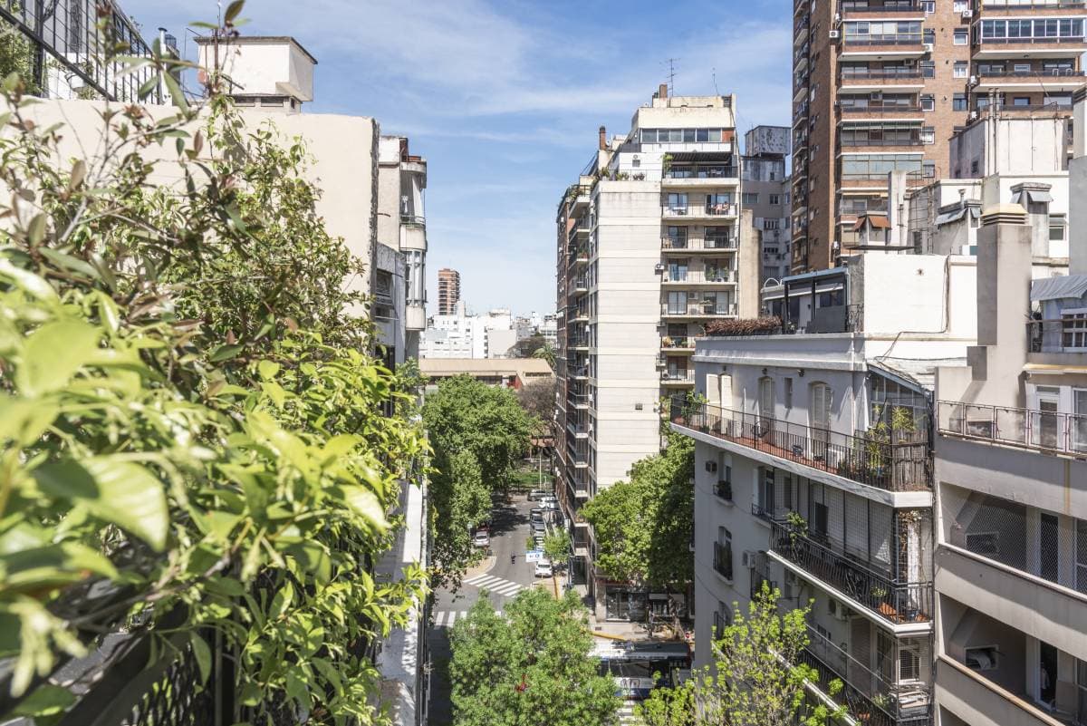 Imagen número 24