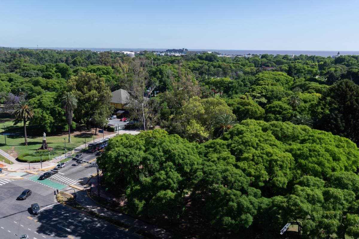 Av. del Libertador y Ugarteche (Imagen número 2)