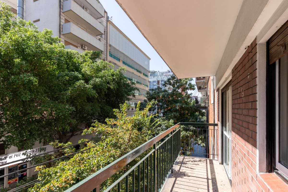 Juncal y Austria (Imagen número 3)