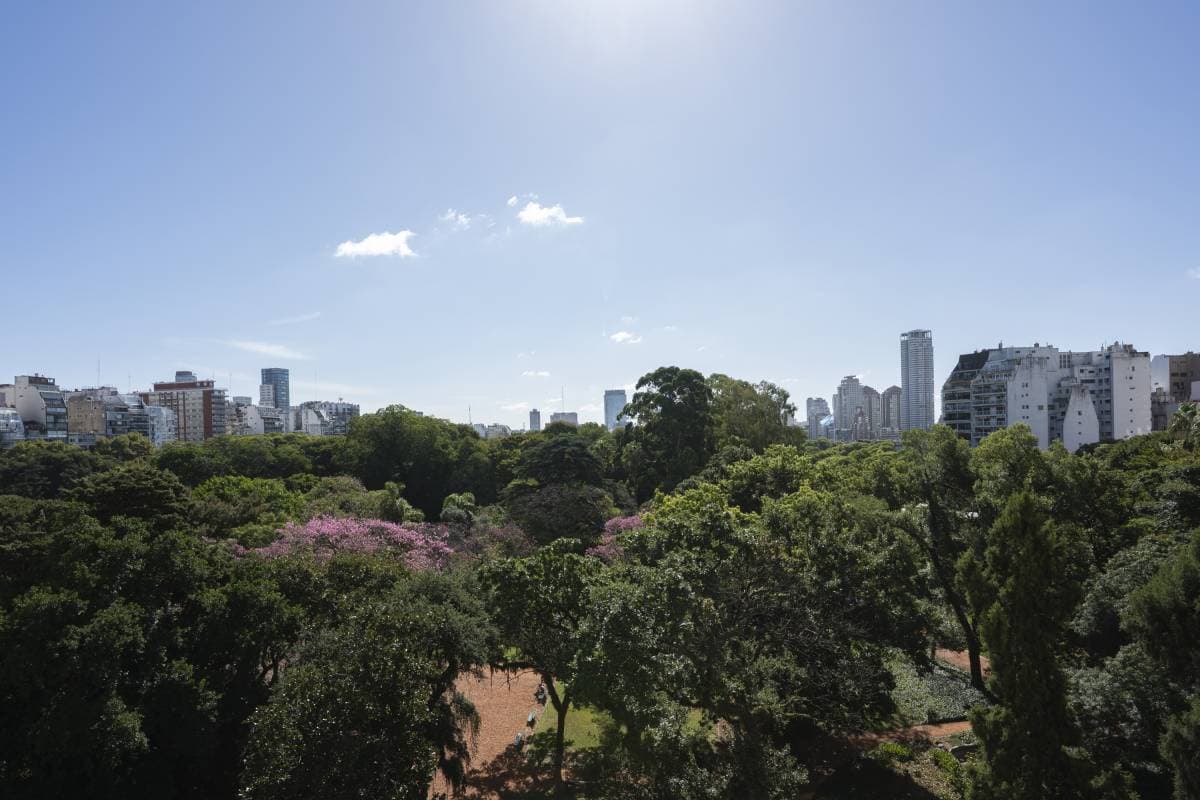 Rep. Árabe Siria y Beruti (Imagen número 2)