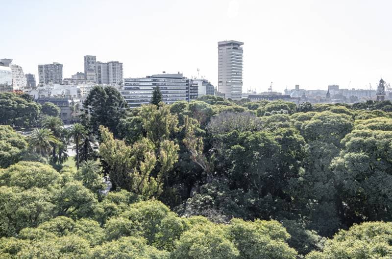 Marcelo T. de Alvear y Florida (Imagen número 2)