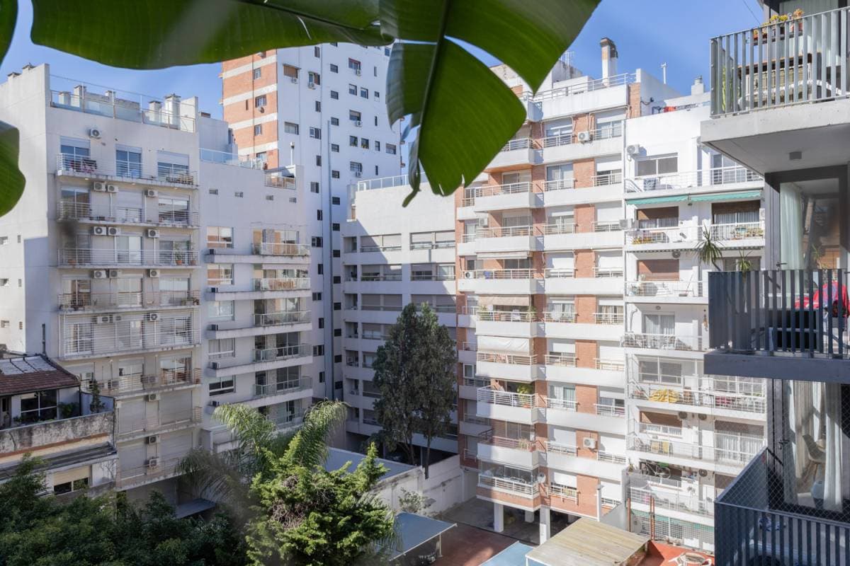 Imagen número 12