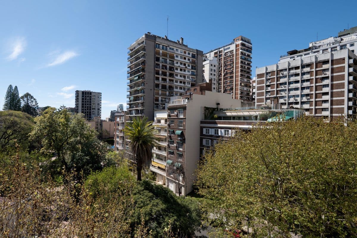 Imagen número 8