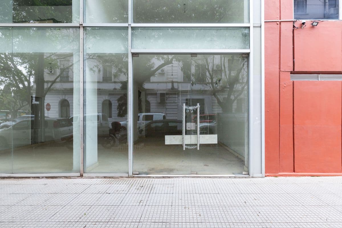 Imagen número 19